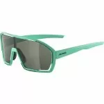 Alpina BONFIRE Sonnenbrillen