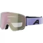 Alpina Ski Goggles Penken