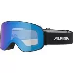 Alpina Ski Goggles Slope