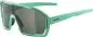 Preview: Alpina BONFIRE Sonnenbrille - turquoise matt, green