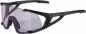 Preview: Alpina HAWKEYE S Q-LITE V Sonnenbrille - black matt, purple