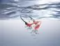 Preview: Shokz OpenSwim Pro red