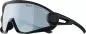 Preview: Alpina 5W1NG Eyewear - all black matt, black mirror