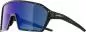 Preview: Alpina RAM Q-LITE Sonnenbrille - black-blur matt, blue mirror