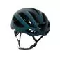 Preview: Kask Protone Icon Strassenhelm - forest green matt