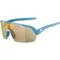 Preview: Alpina Turbo Hr Q-Lite Sonnenbrille - smoke-blue matt, gold cat. 2