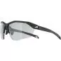 Preview: Alpina Twist Six Hr V Sonnenbrille - black matt, v black cat. 1-3