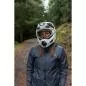 Preview: Alpina Circust Q-Lite Skibrille - sand mat, gold s2