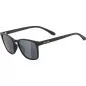 Preview: Alpina YEFE Sonnenbrillen - all black matt, black mirror