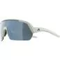 Preview: Alpina Turbo HR Sonnenbrille - Cool Grey Matt, Black Mirror