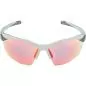 Preview: Alpina Twist Six Hr Qv Sonnenbrille - smoke-grey matt, qv rainbow mirror