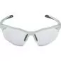 Preview: Alpina Twist Six Hr V Sunglasses - smoke-grey matt, v black cat. 1-3
