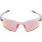Preview: Alpina Twist Six Mattqv Sunglasses - smoke, qv mirror rainbow