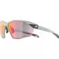 Preview: Alpina Twist Six Mattqv Sunglasses - smoke, qv mirror rainbow