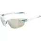 Preview: Alpina Twist Six Q Sunglasses - white matt