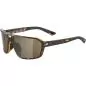 Preview: Alpina Swift Sonnenbrille - havanna, black cat. 3