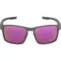 Preview: Alpina Stream Sunglasses - midnight-grey matt