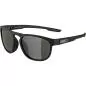 Preview: Alpina Rift Sunglasses - black matt, black cat. 3