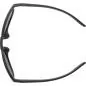 Preview: Alpina Rift Sunglasses - black matt, black cat. 3