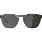 Preview: Alpina Sunbeam Sunglasses - grey transparent, green cat.3
