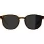 Preview: Alpina Dimont Sports Glasses - brown transparent, black cat.3