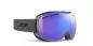 Preview: Julbo Ski Google Fusion - grey, reactiv 1-3 high contrast, red