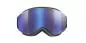 Preview: Julbo Ski Google Proxima - black, reactiv 2-4 polarized, brown