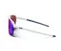 Preview: Julbo Sportbrille Frequency Groupama-Fdj - weiß / blau, braun
