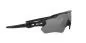Preview: Oakley Sunglass Radar Ev Path - matte black, prizm black polarized