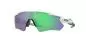 Preview: Oakley Sunglass Radar Ev Path - polished white, prizm jade