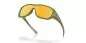 Preview: Oakley De La Salle 30 - Fern Spacedust, Prizm 24k