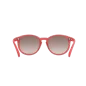 Preview: Poc Know Eyewear - Ammolite Coral Translucent Brown Silver Mirror