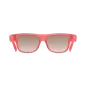 Preview: Poc Want Eyewear - Ammolite Coral Translucent Brown Silver Mirror