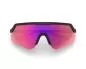 Preview: Spektrum BLANKSTER Sun Glasses - Black - Infrared
