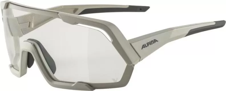Alpina ROCKET V Eyewear - cool-grey matt, black