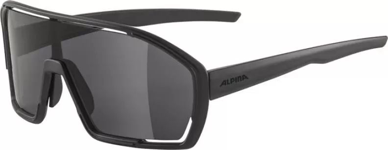 Alpina BONFIRE Sonnenbrille - all black matt, black