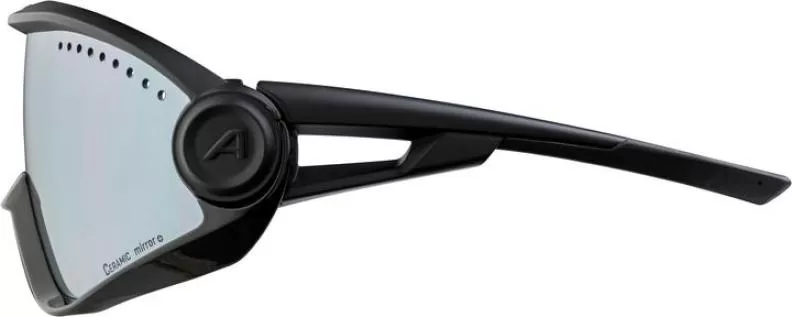 Alpina 5W1NG Sonnenbrille - all black matt, black mirror