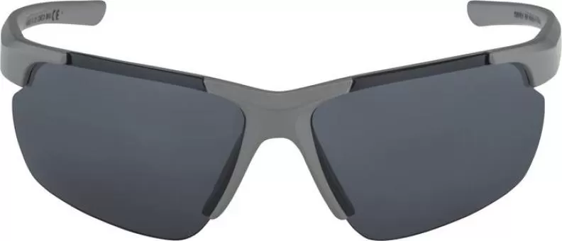 Alpina DEFEY HR Eyewear - moon-grey matt, black mirror