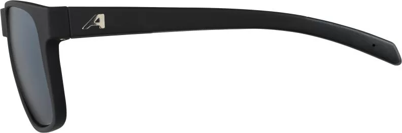 Alpina NACAN III Eyewear - Black Matt Mirror Black