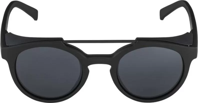 Alpina GLACE Eyewear - all black matt, black mirror