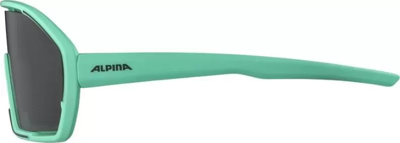 Alpina BONFIRE Sonnenbrille - turquoise matt, green