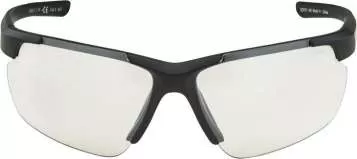 Alpina DEFEY HR Eyewear - Brown Transparent Matt Mirror Gold