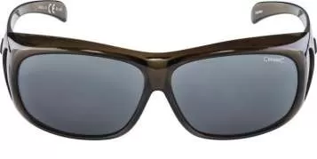 Alpina OVERVIEW Eyewear - black transparent black