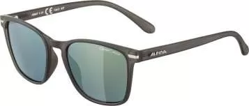 Alpina YEFE Eyewear - Grey Transparent Matt Mirror Gold