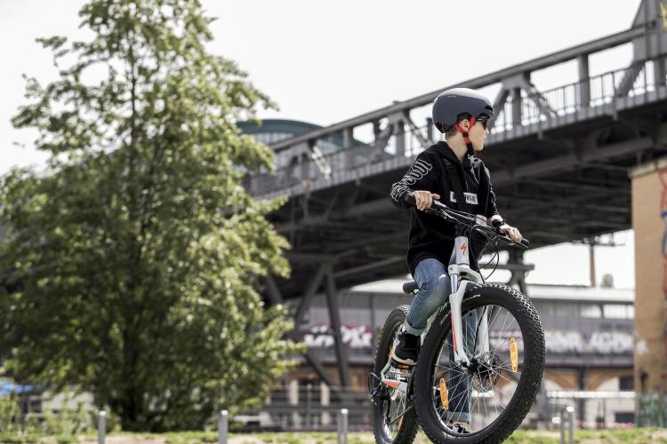 Preview: Alpina Hackney Velohelm - black-confetti matt