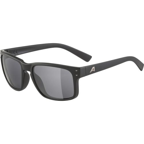 Preview: Alpina Kosmic Sonnenbrille - black matt, black cat. 3