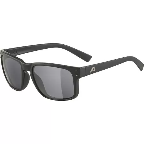 Alpina Kosmic Sonnenbrille - black matt, black cat. 3