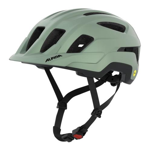 Preview: Alpina Paranus Mips Velohelm - willow-green matt