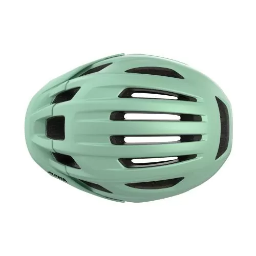 Alpina Paranus Velohelm - pastel green matt