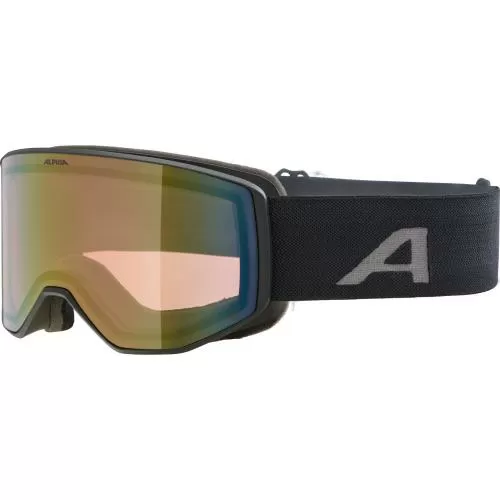 Alpina Venett Q Ski Goggles - black mat